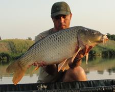 Moara Vlasiei 2 12 - 14 aug.